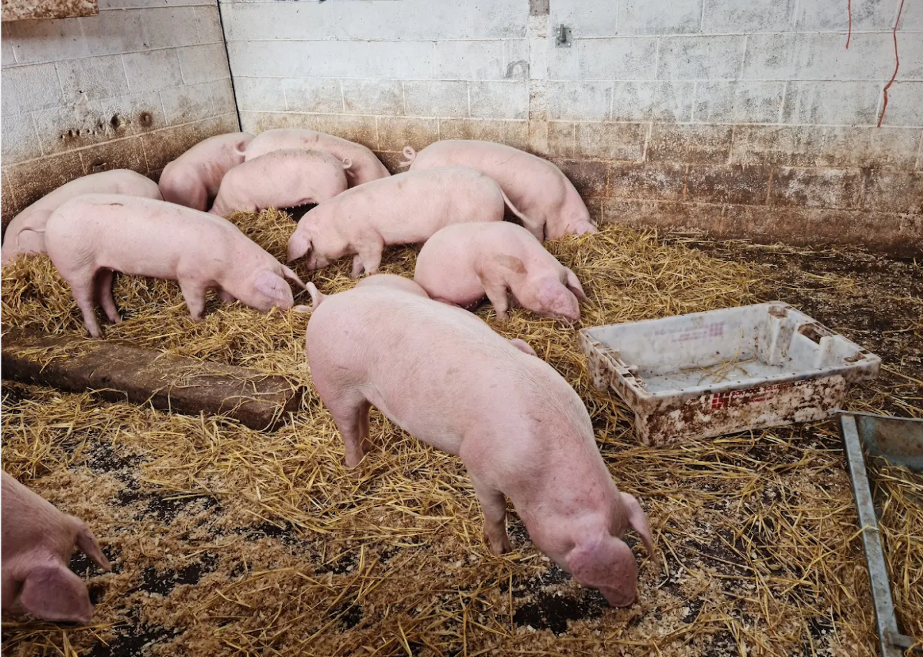 Has Noel Gallagher broken a century-old covenant?