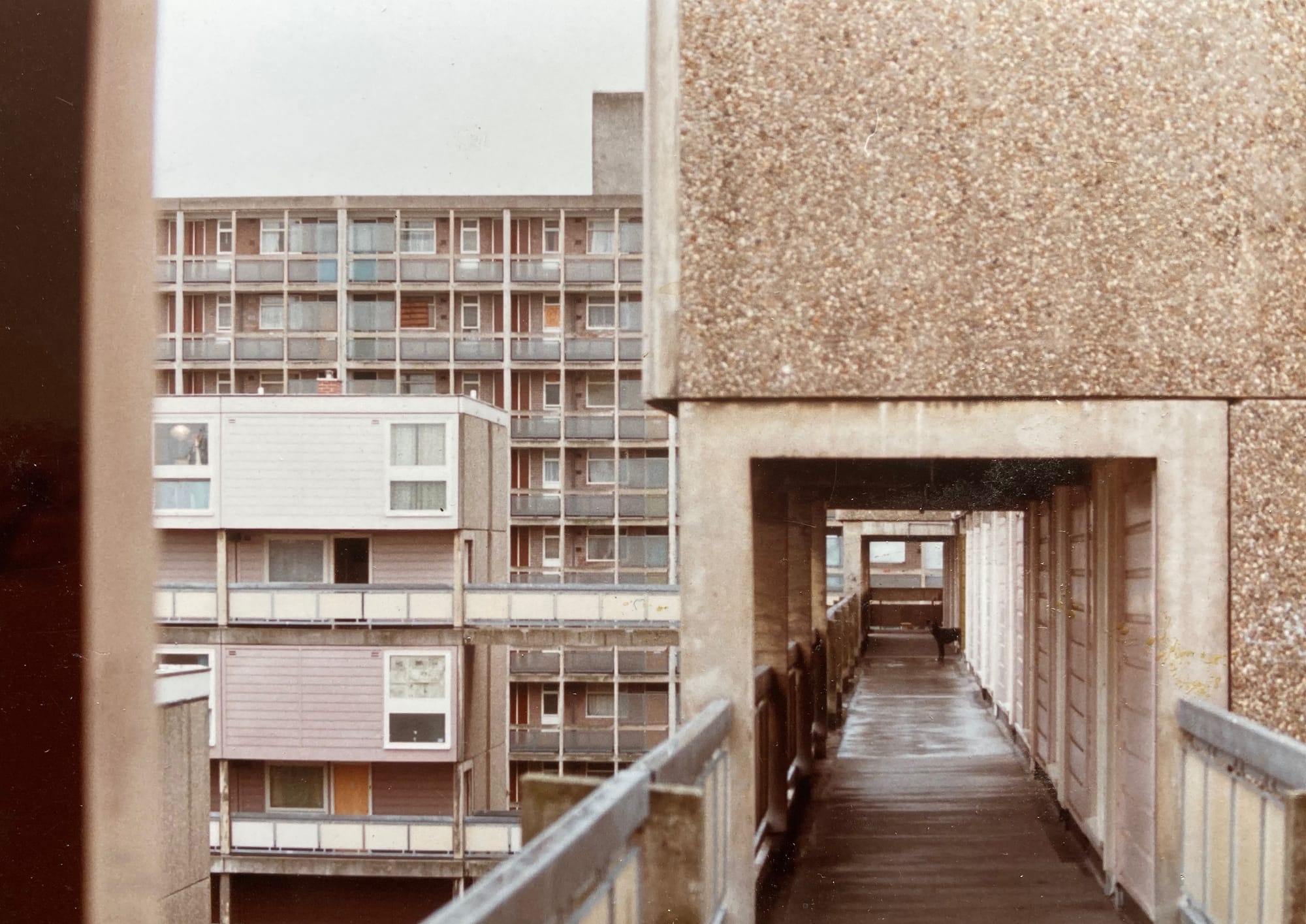 Manchester needs more social housing